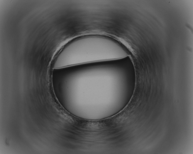 X0000093221364200710031431