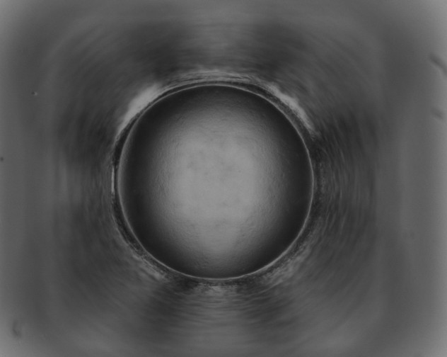 X0000093221365200710031431