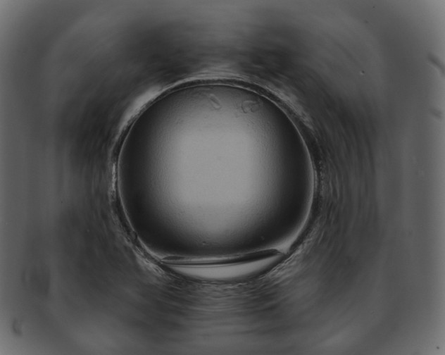 X0000093221366200710031431