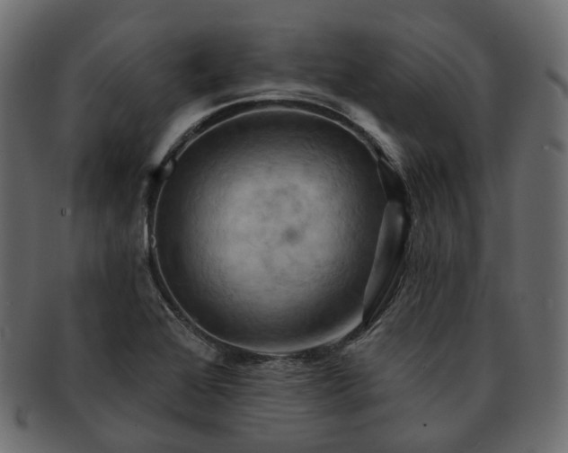 X0000093221368200710031431