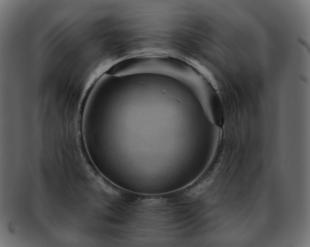 X0000093221373200710031431