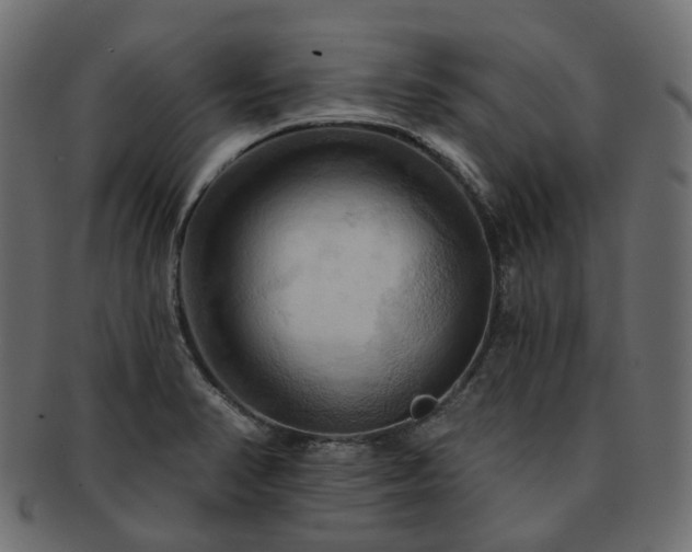 X0000093221374200710031431