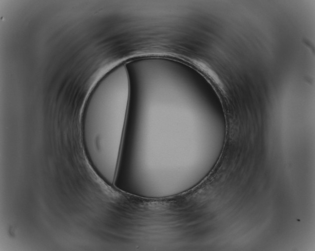 X0000093221380200710031431