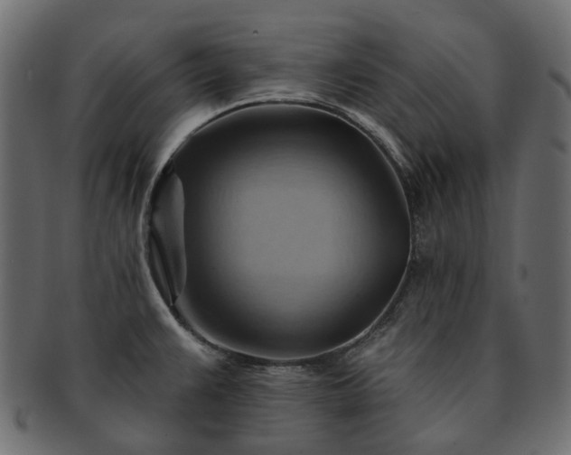 X0000093221383200710031431