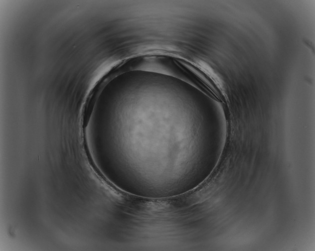 X0000093221384200710031431