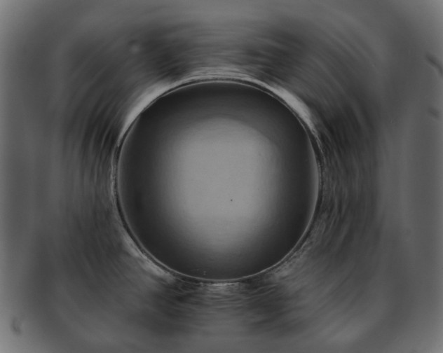 X0000093221390200710031431