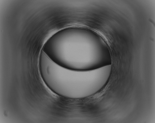 X0000093221391200710031431