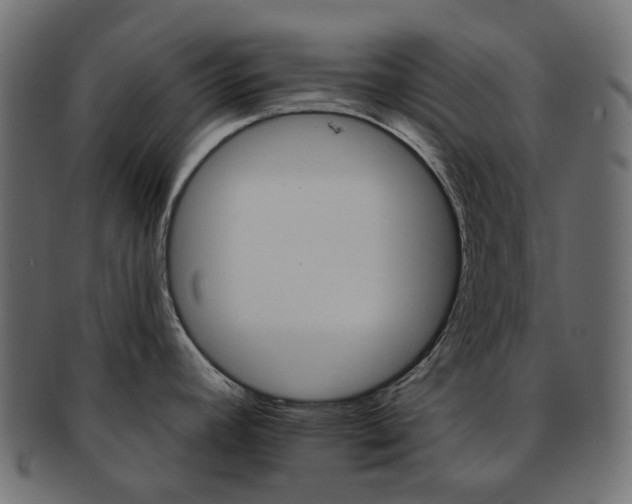 X0000093221392200710031431