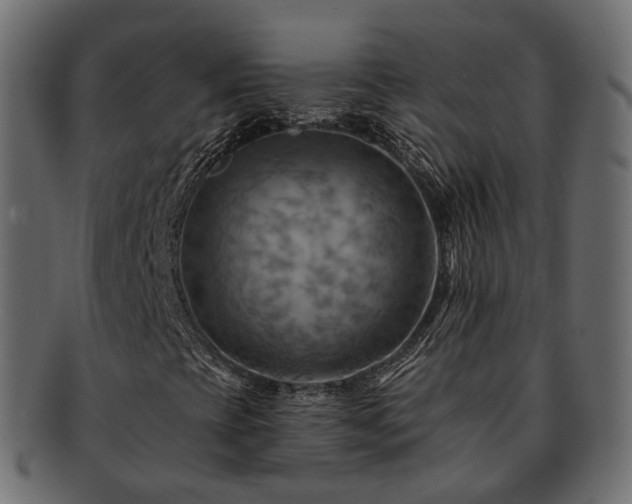 X0000093221393200710031430