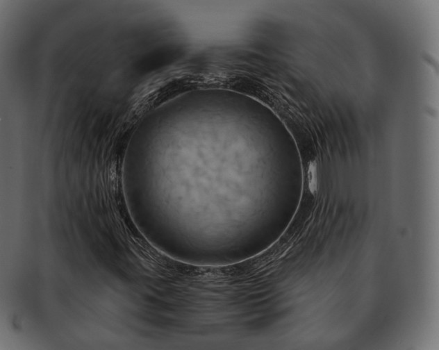 X0000093221395200710031430