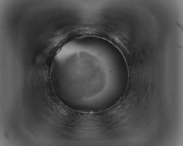 X0000093221399200710031430