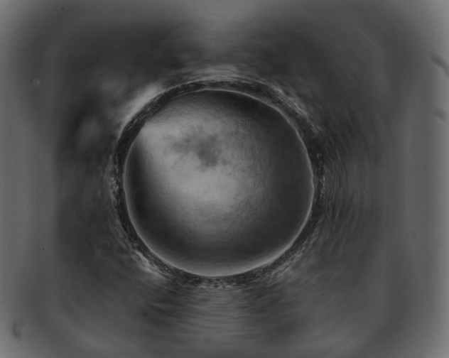 X0000093221400200710031430