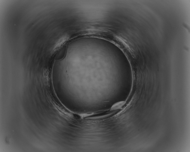 X0000093221403200710031431