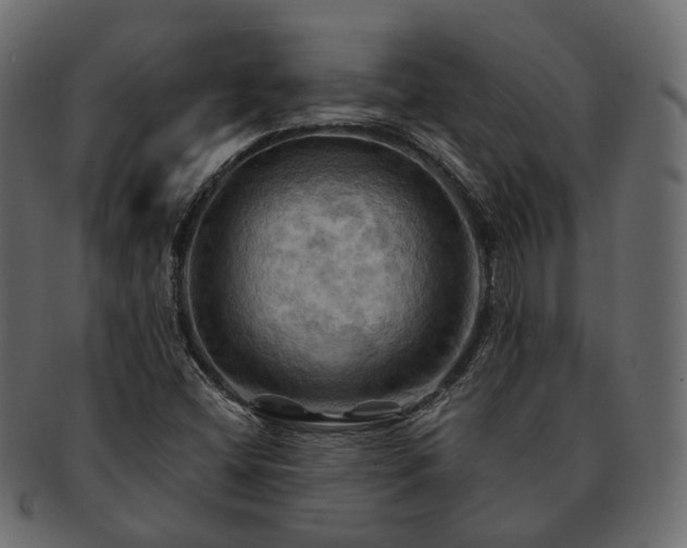 X0000093221404200710031431