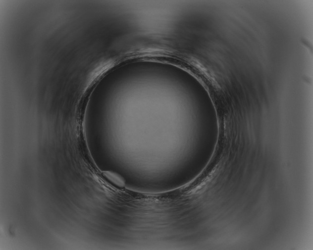 X0000093221405200710031431