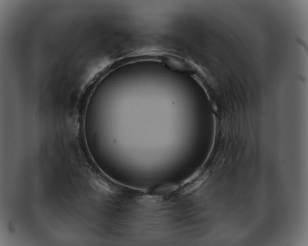 X0000093221406200710031431