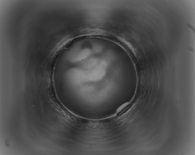 X0000093221407200710031431