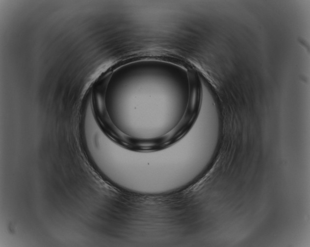 X0000093221410200710031431