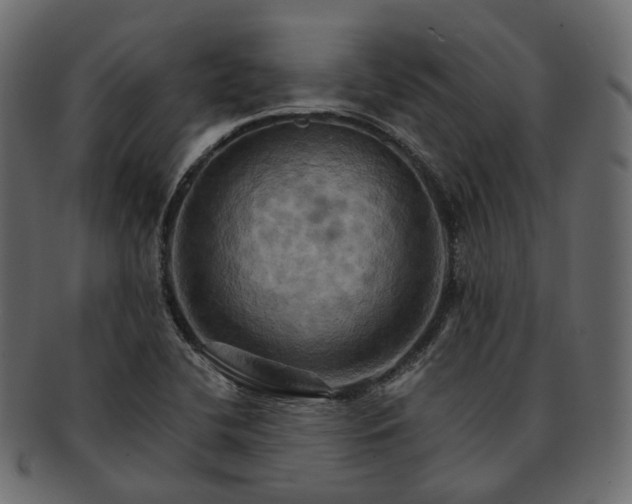 X0000093221412200710031431