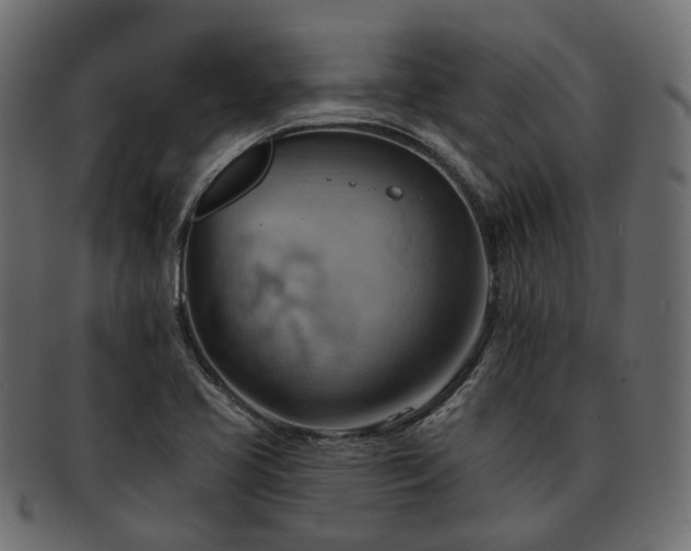 X0000093221413200710031431