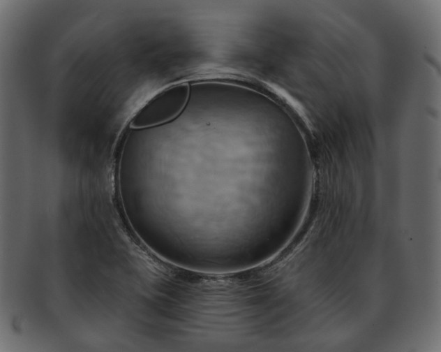 X0000093221415200710031431