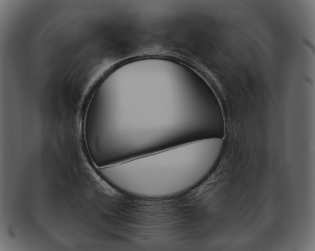 X0000093221416200710031431