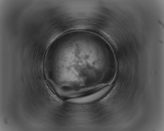 X0000093221417200710031431