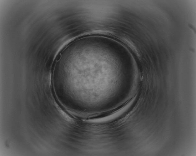 X0000093221420200710031431