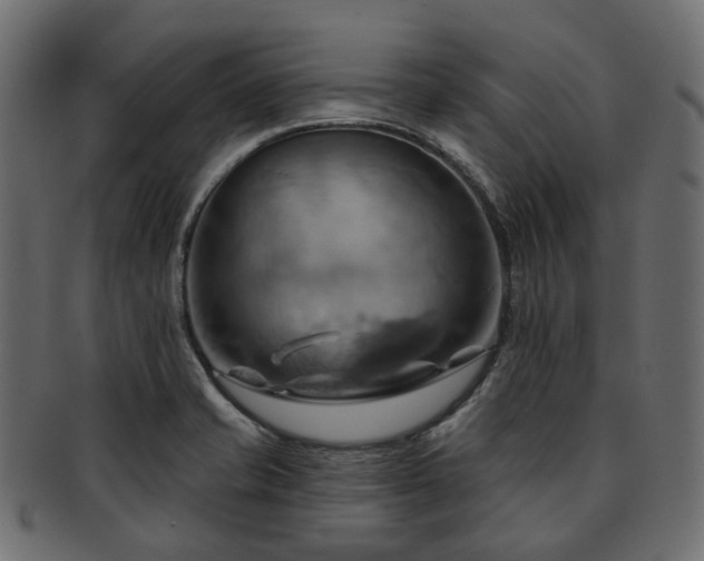 X0000093221421200710031431