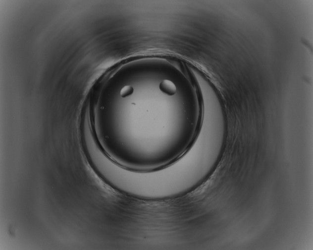 X0000093221422200710031431