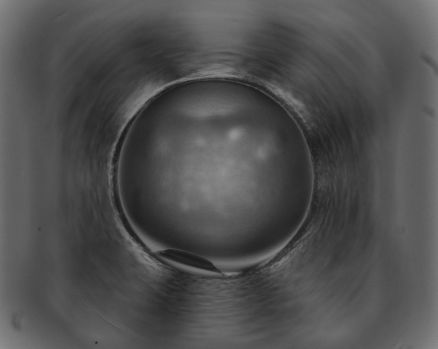 X0000093221423200710031431