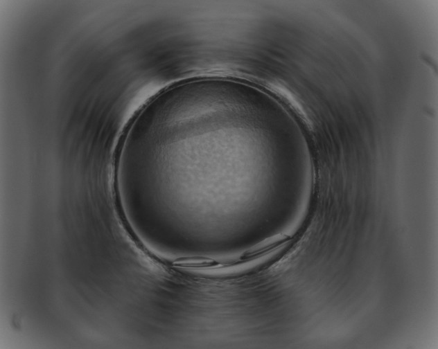 X0000093221424200710031431