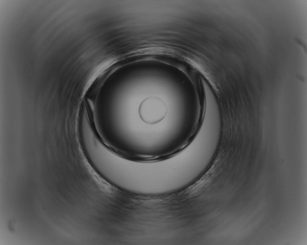 X0000093221426200710031431