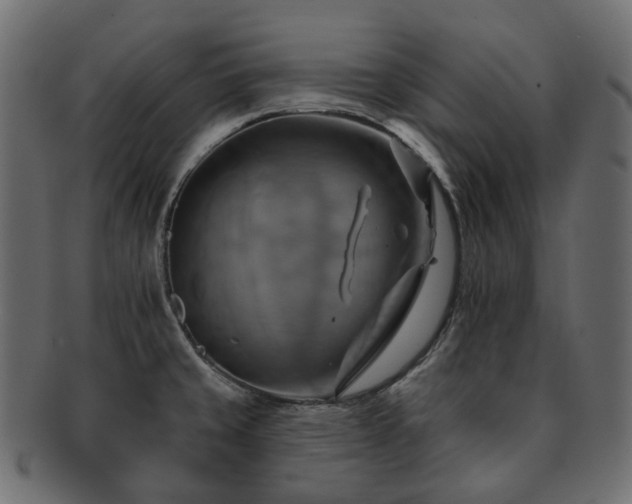 X0000093221429200710031431