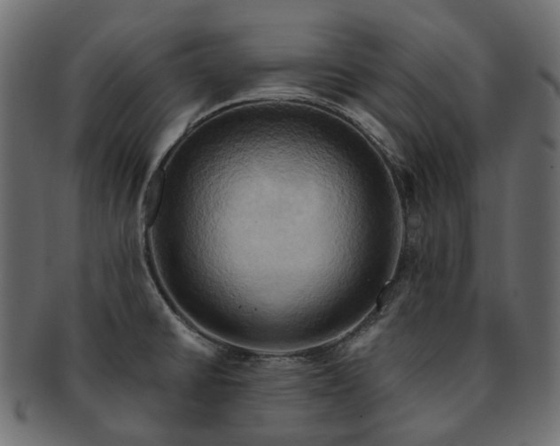 X0000093221430200710031431