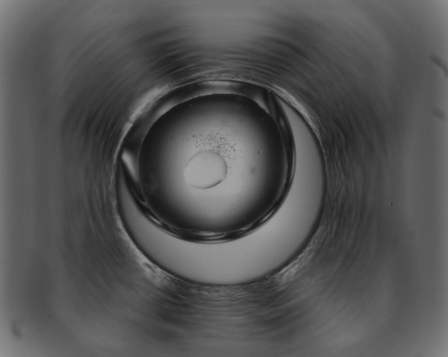 X0000093221434200710031431