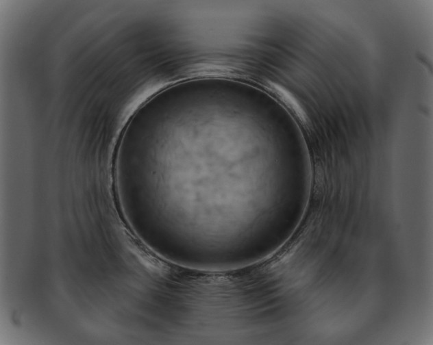 X0000093221435200710031431