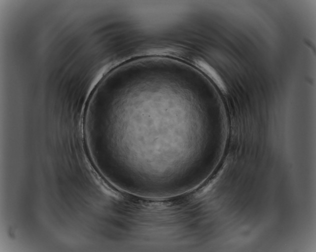 X0000093221436200710031431