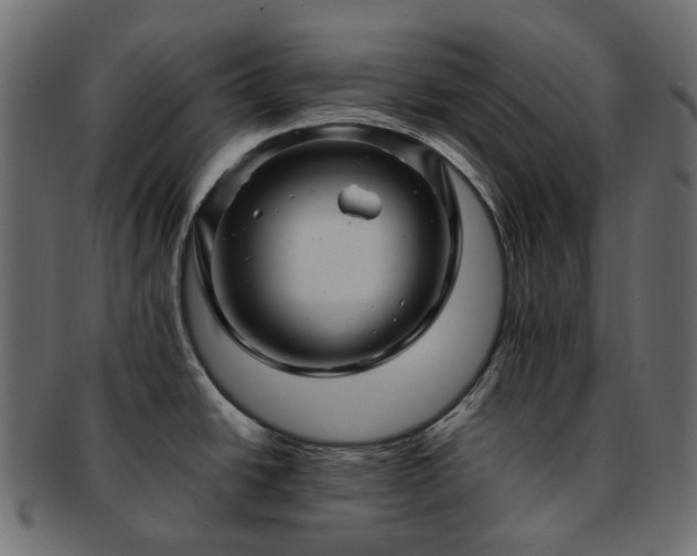 X0000093221438200710031431