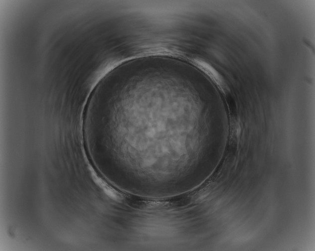 X0000093221439200710031431