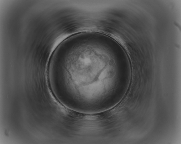 X0000093221440200710031431