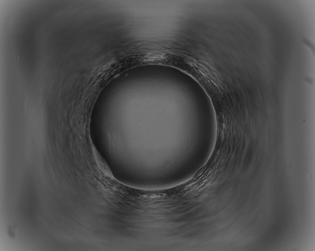 X0000093221441200710031430