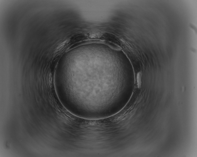 X0000093221443200710031430