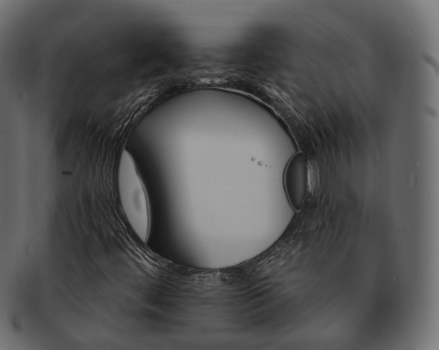 X0000093221444200710031430