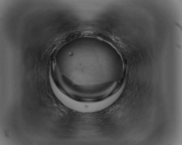 X0000093221445200710031430