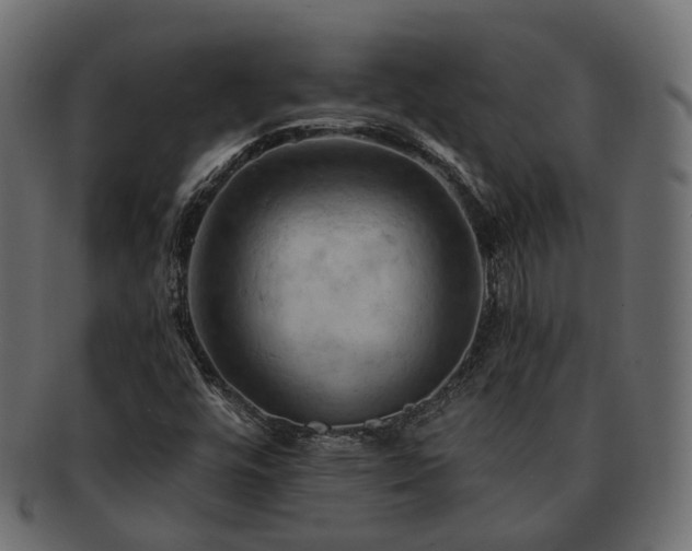 X0000093221448200710031430