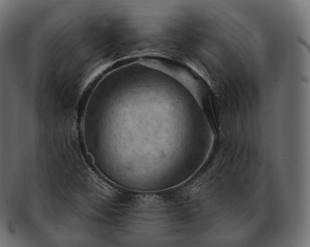 X0000093221452200710031430