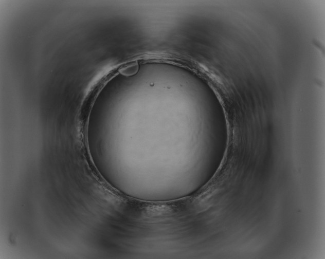 X0000093221454200710031430