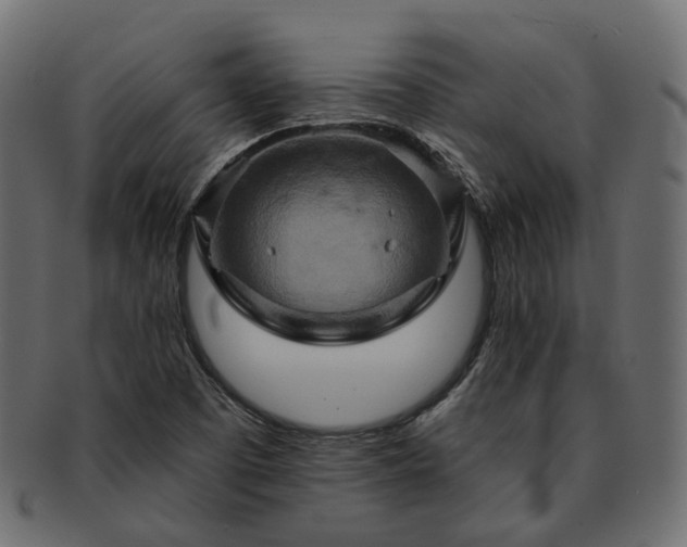 X0000093221457200710031430