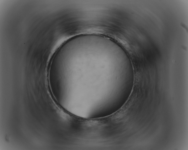 X0000093221470200710031430